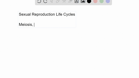 describe-the-two-events-that-are-common-to-all-sexually-reproducing-organisms-and-how-they-fit-into-