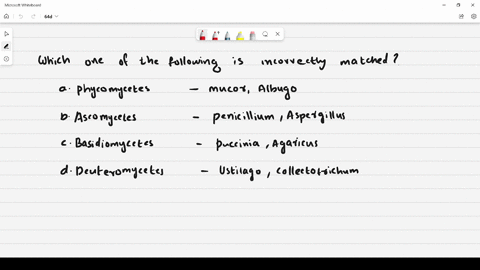 which-one-is-an-incorrectly-matched-paif-a-phycomycetes-mucor-albugo-b-ascomycetes-penicillium-asper