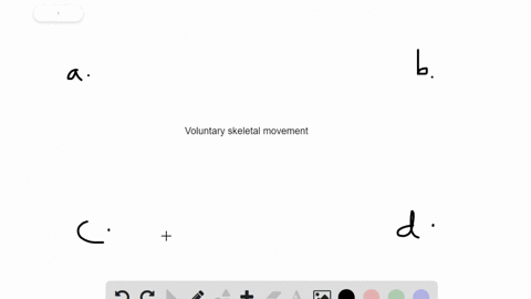 signals-that-cause-voluntary-movement-of-your-right-arm-originate-in-your-______-a-right-cerebral-co