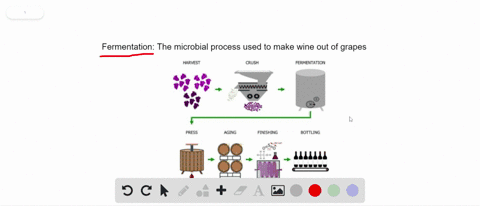 the-process-by-which-microbes-turn-grape-juice-into-wine-is-called-__________