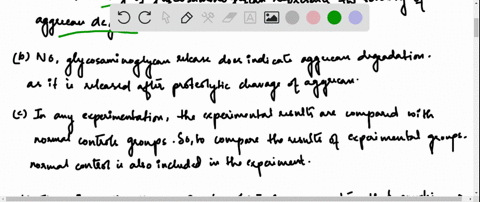 a-contributing-factor-to-the-development-of-arthritis-is-the-inappropriate-proteolytic-destruction-4