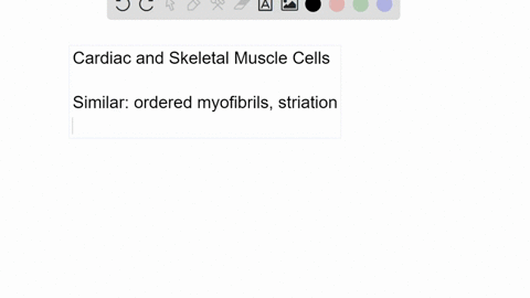 how-are-cardiac-muscle-cells-similar-to-and-different-from-skeletal-muscle-cells
