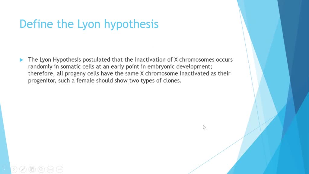 lyon hypothesis notes