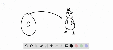 given-that-the-function-of-egg-yolk-is-to-nourish-and-support-the-developing-chick-explain-why-egg-4