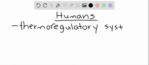 how-would-you-describe-the-role-of-skin-temperature-in-the-human-thermoregulatory-system-a-it-provid