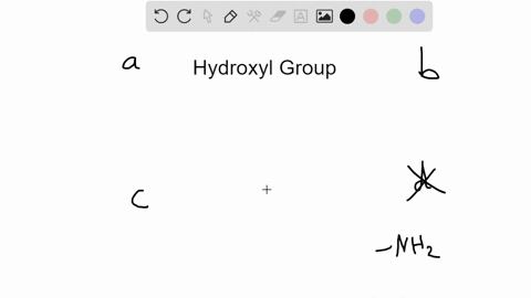 which-of-the-following-is-a-hydroxyl-group-a-mathrmoh-b-mathrmch_3-c-mathrmcmathrmo-d-mathrmnh_2