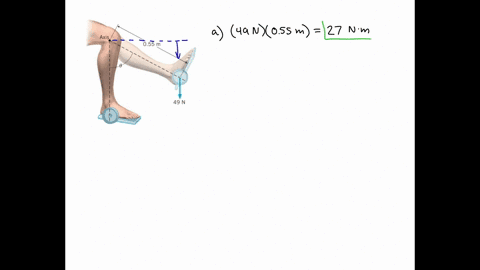 the-drawing-shows-a-lower-leg-being-exercised-it-has-a-49-n-weight-attached-to-the-foot-and-is-exten