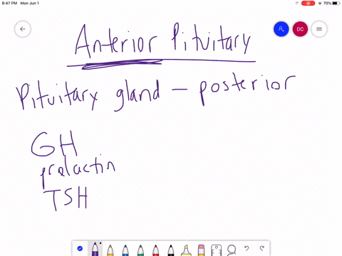 which-of-the-following-hormones-is-not-produced-by-the-anterior-pituitary-a-oxytocin-b-growth-hormon