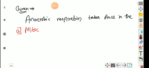 anaerobic-respiration-takes-place-in-the-a-mitochondria-b-cytoplasm-c-lysosomes-d-er