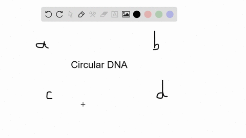 a-______-is-a-small-circle-of-bacterial-dna-that-contains-only-a-few-genes-and-is-separate-from-the-