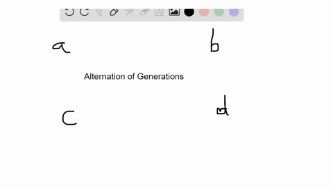 the-alternation-of-generations-life-cycle-shows-that-a-plants-are-only-haploid-b-plants-are-only-dip