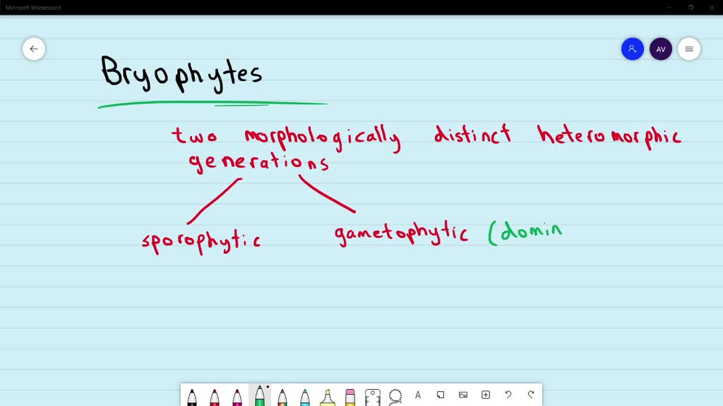 difference-between-gametophyte-and-sporophyte-major-differences