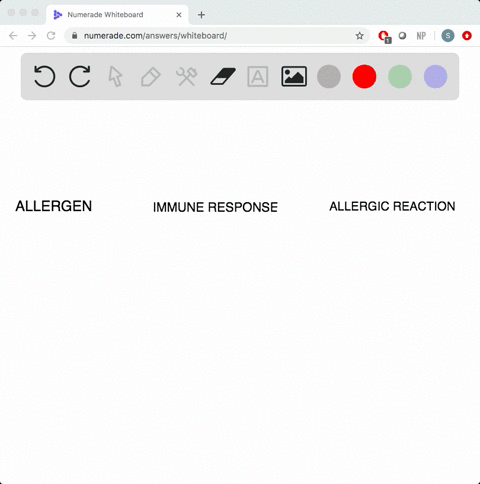 allergies-occur-when-the-body-responds-to-__________-a-pathogens-b-toxins-c-normally-harmless-subs-2
