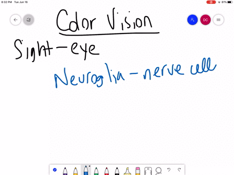 color-vision-begins-with-stimulation-of________-a-hair-cells-b-rod-cells-c-cone-cells-d-neuroglia