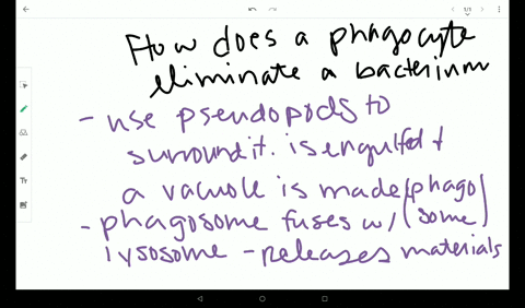visit-this-website-httpopenstaxcollegeorgi-chemotaxis-to-learn-about-phagocyte-chemotaxis-phagocyte-