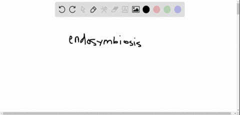 the-chloroplasts-of-photosynthetic-protists-a-are-structurally-identical-b-gave-rise-to-mitochondr-3