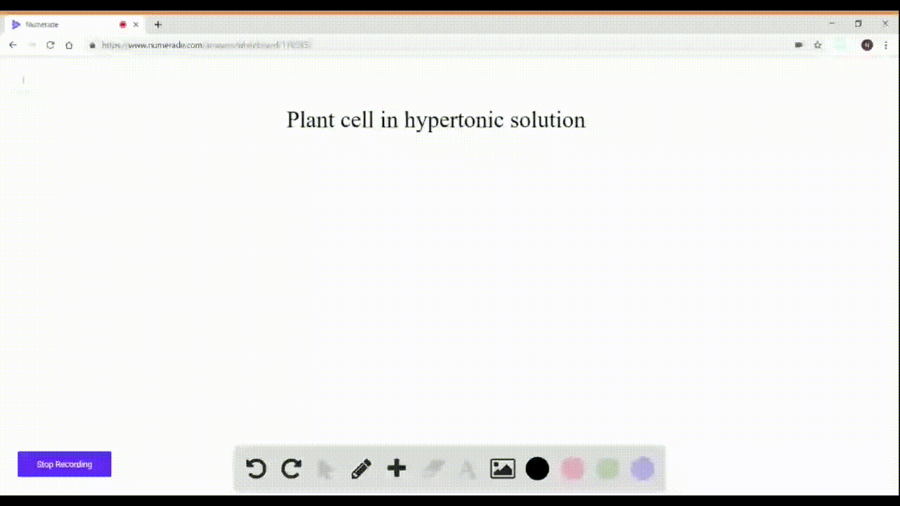 solved-a-plant-cell-that-is-placed-in-a-hypertonic-solution-would