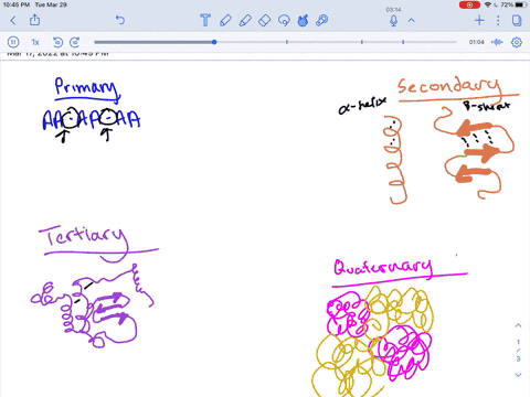 indicate-whether-each-of-the-following-statements-describes-the-primary-secondary-tertiary-or-quat-3