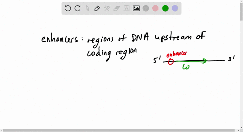 where-are-enhancers-located-how-do-they-work-3