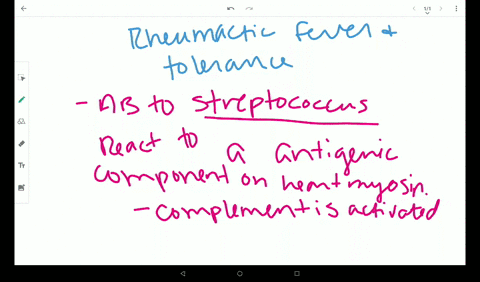 describe-rheumatic-fever-and-how-tolerance-is-broken