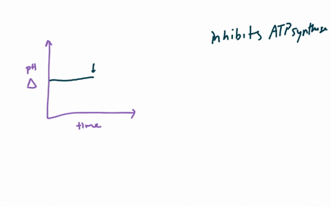 draw-uu-the-graph-here-shows-the-ph-difference-across-the-inner-mitochondrial-membrane-over-time-in-