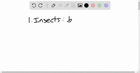 the-phylum-arthropoda-includes-all-of-the-following-kinds-of-animals-except-a-snails-b-crabs-c-crayf
