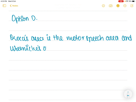 the-brocas-area-and-wernickes-centre-are-the-association-areas-situated-in-cerebrum-these-are-associ