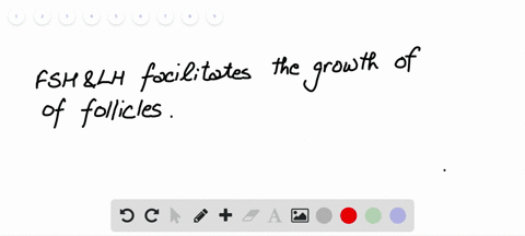 what-do-the-rising-levels-of-fsh-and-lh-in-the-follicular-phase-cause-a-the-follicles-on-the-surface