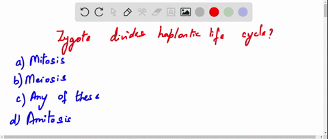 in-haplontic-life-cycle-the-zygote-divides-by-a-mitosis-b-meiosis-c-any-of-these-d-amitosis