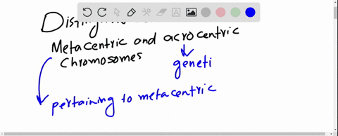 consider-a-diploid-cell-that-has-2-n4-chromosomesone-pair-of-metacentric-chromosomes-and-one-pair-of