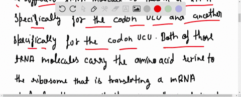 a-mutation-in-dna-generates-a-uga-stop-codon-in-the-middle-of-the-mrna-coding-for-a-particular-pro-2