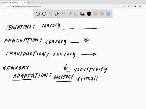 ________-occurs-when-sensory-information-is-organized-interpreted-and-consciously-experienced-a-sens