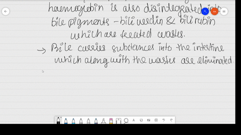 describe-the-role-of-liver-lungs-and-skin-in-excretion