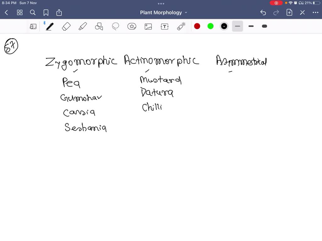 SOLVEDHow many of the following contains zygomorphic flower? Pea