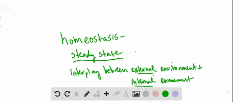 which-of-the-following-best-illustrates-homeostasis-explain-your-answer-a-most-adult-humans-are-be-2