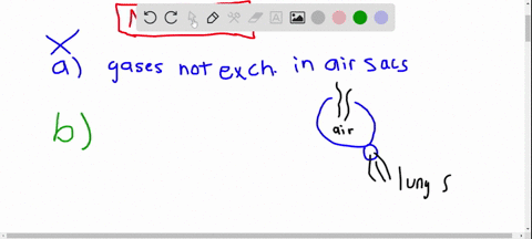 which-statement-about-the-gas-exchange-system-of-birds-is-not-true-a-respiratory-gases-are-not-excha