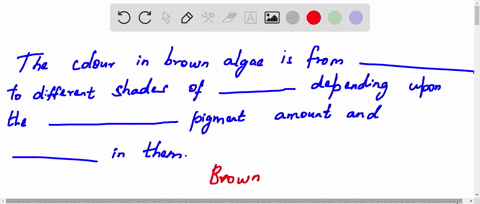 brown-algae-vary-in-colour-from-quad-to-various-shades-of-depending-on-the-amount-of-quad-pigment-an
