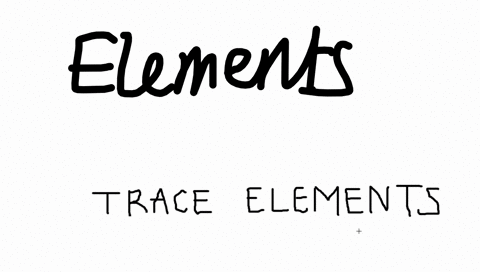 what-are-trace-elements-and-why-are-such-elements-important-to-the-bodys-health
