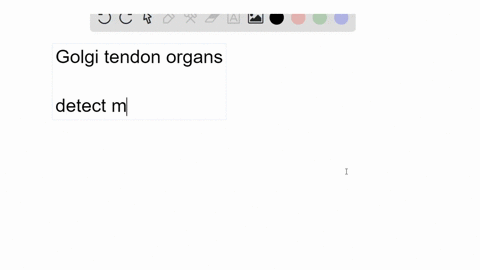 what-is-the-function-of-golgi-tendon-organs-4