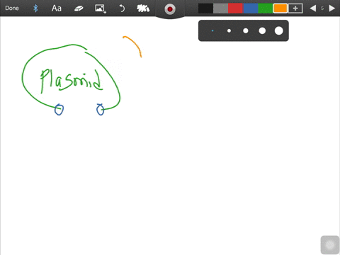 briefly-describe-two-different-methods-for-inserting-foreign-dna-into-plasmids-giving-the-strength-2