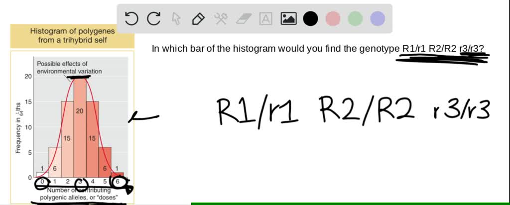 SOLVED:In Figure 3-17, in which bar of the histogram would the genotype ...