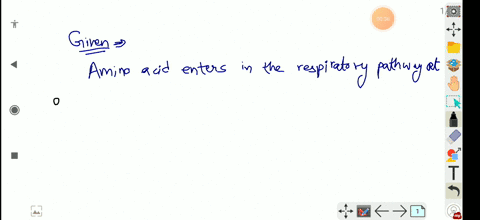 amino-acid-enters-in-the-respiratory-pathway-at-a-krebs-cycle-b-pyruvate-c-acetyl-coa-d-any-of-these
