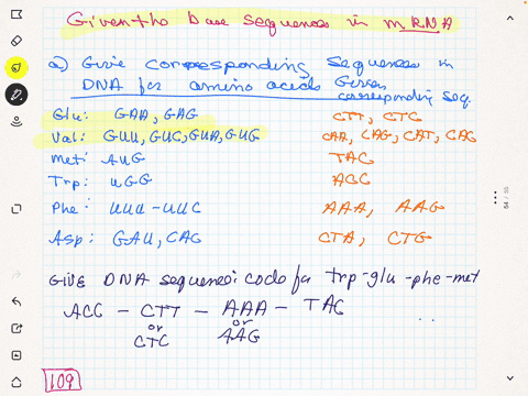the-base-sequences-in-mrna-that-code-for-certain-amino-acids-are-glu-quad-gaa-gag-val-guu-guc-gua-gu