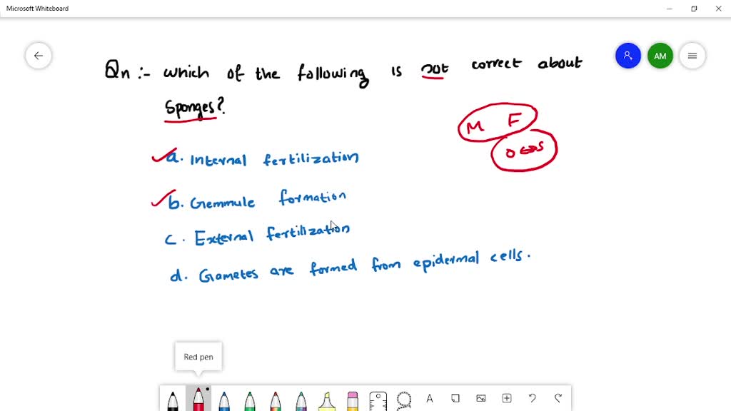 solved-which-is-not-correct-for-sponges-a-internal-fertilization-b