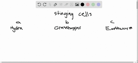 beginarrayltext-a-hydra-text-b-grasshopper-text-c-earthworm-endarray-all-the-members-of-this-phylum-
