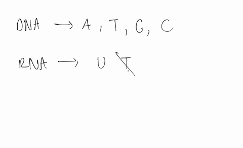 what-anticodon-on-trna-would-pair-with-each-of-the-following-mrna-codons-a-uuu-b-cau