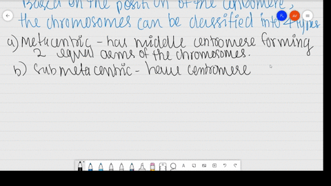 what-is-a-centromere-how-does-the-position-of-centromere-form-the-basis-of-classification-of-chromos