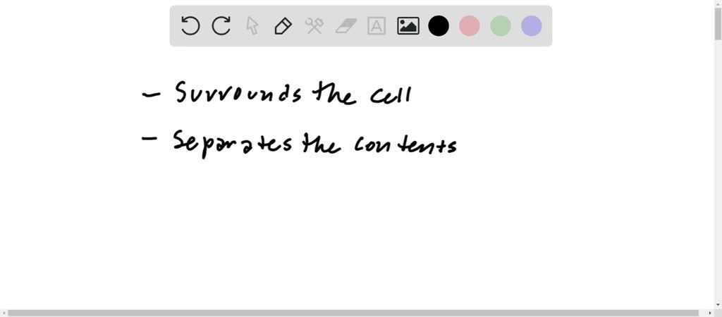 solved-what-is-the-function-of-the-lipid-bilayer-in-a-cell-membrane