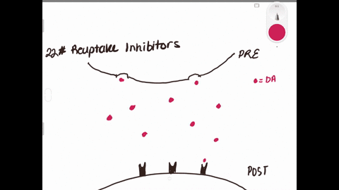 cocaine-has-two-effects-on-synaptic-transmission-it-impairs-reuptake-of-dopamine-and-it-causes-more