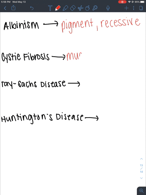 which-condition-is-inherited-as-a-dominant-allele-a-albinism-b-cystic-fibrosis-c-tay-sachs-disease-d